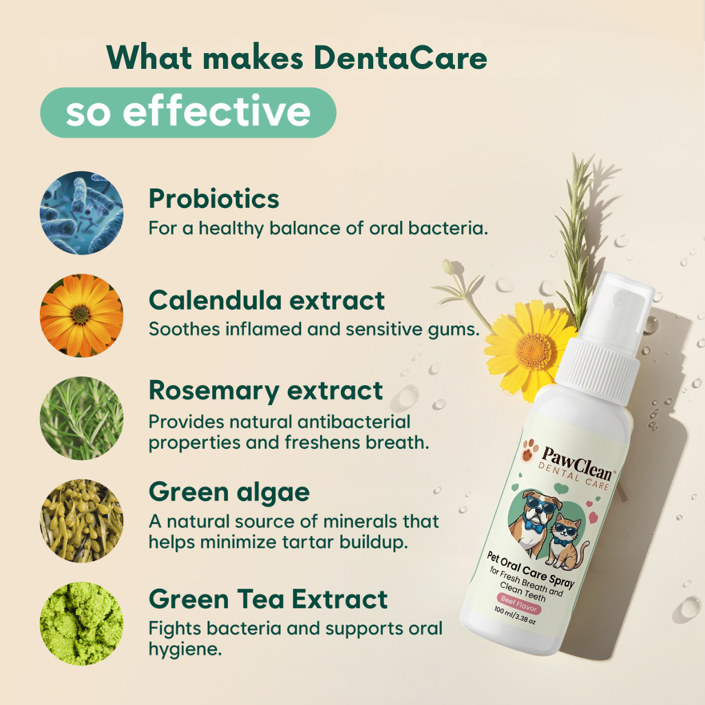 DENTALCARE® - Dogs