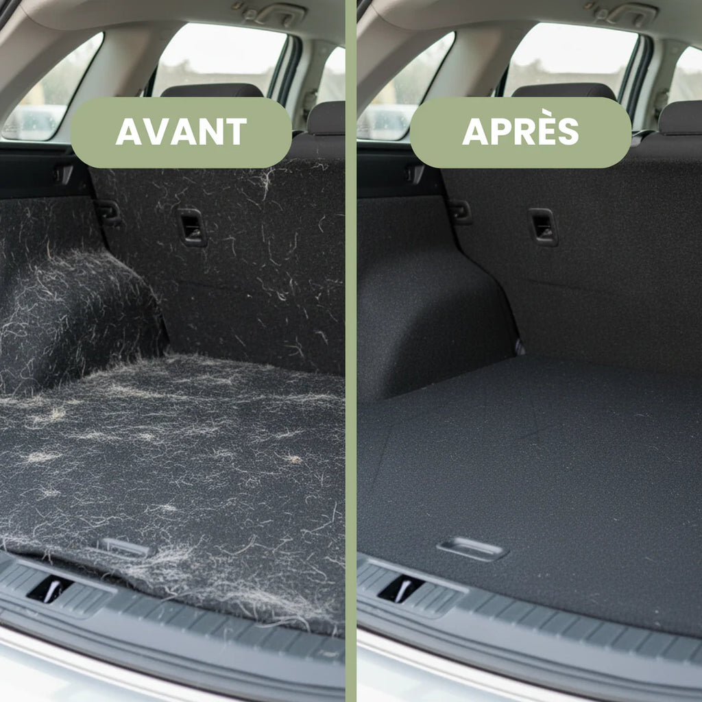 PawNori™ – Gant Anti-Poils Réutilisable & Écologique