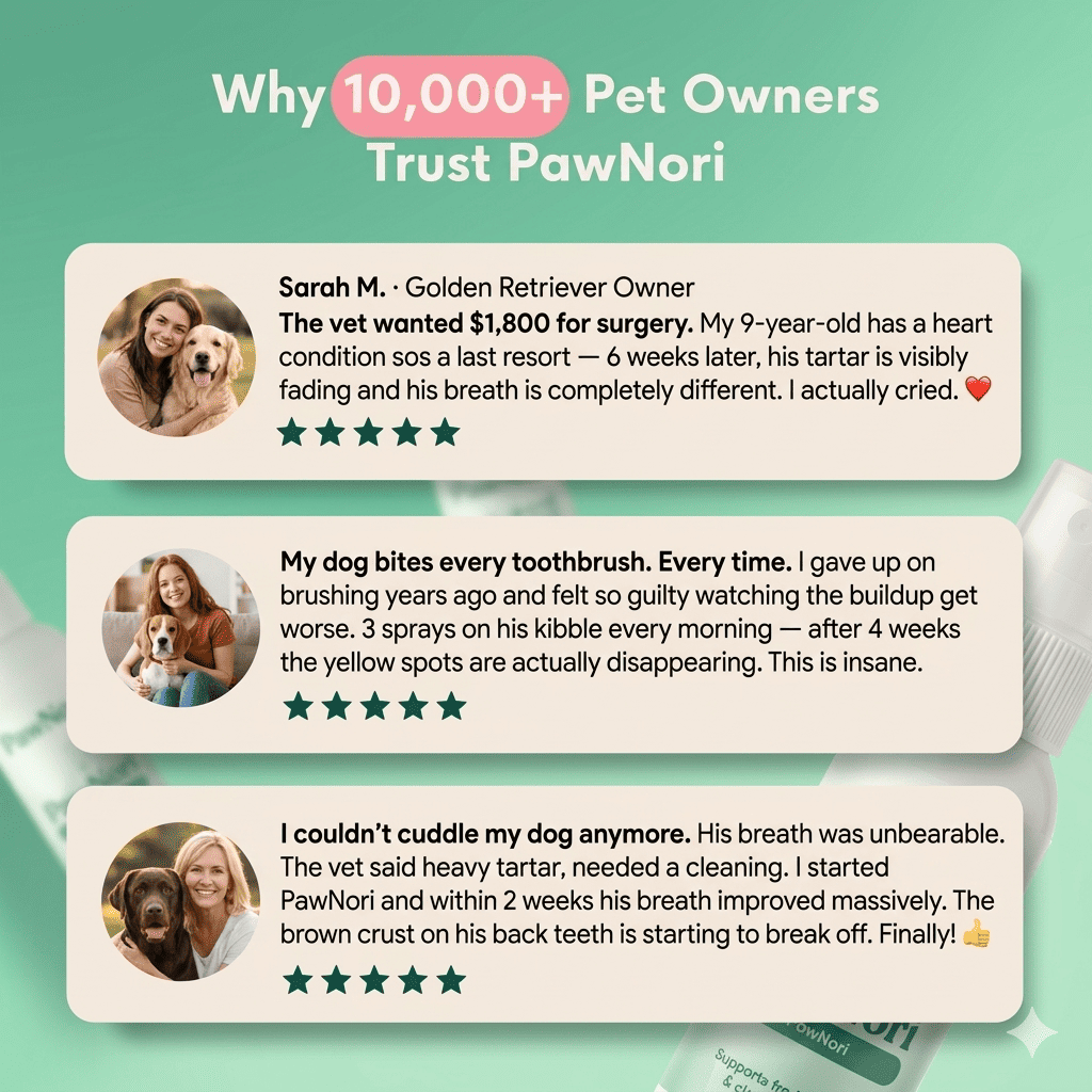 DENTALCARE® - Dogs