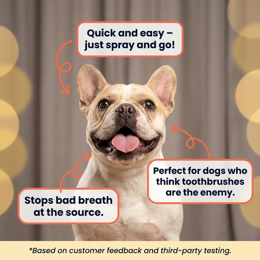 DENTALCARE® - Dogs