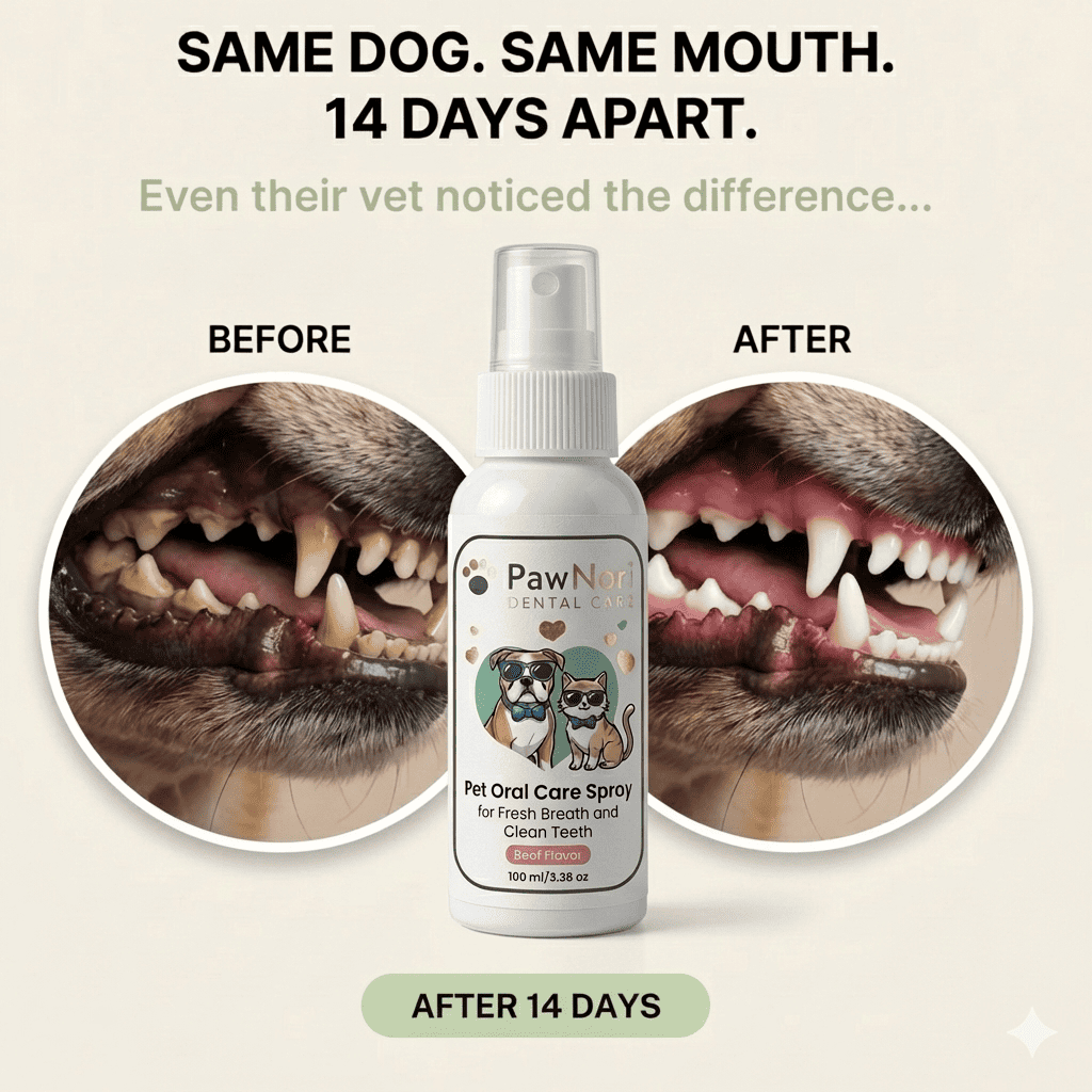 DENTALCARE® - Dogs